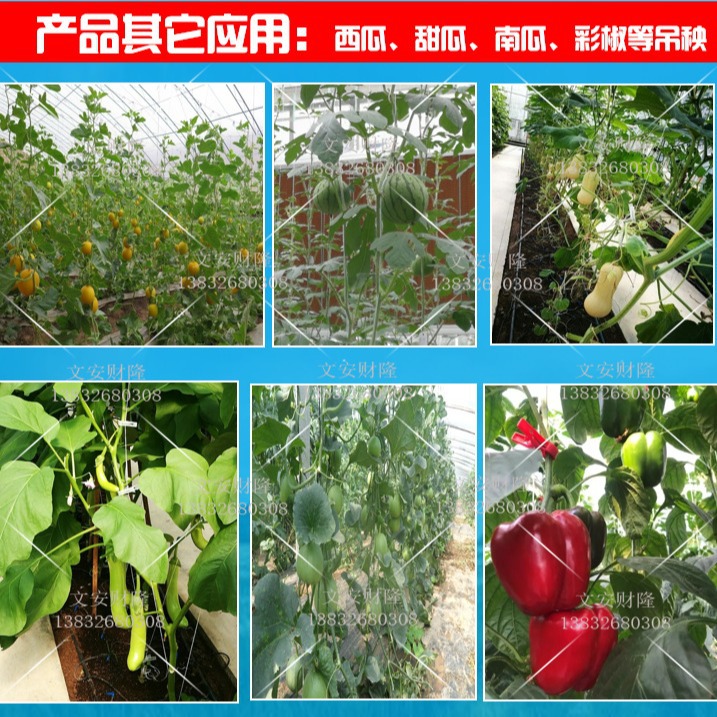 Tomato Hooks, Trellis Hooks for Tomatoes, Greenhouse Trellis Hooks, Vine Support Hooks (Rope Color Options Available)