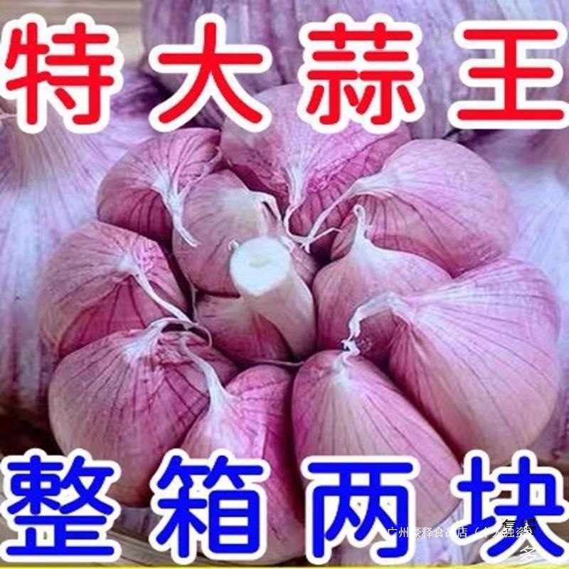 Fresh Garlic Bulbs, Low-Price Fresh Dried Purple-Skinned Garlic, Whole Box of Dried Garlic from Jinxiang, Mainland China Bulk