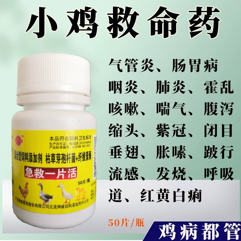 Chicken Tablets for Poultry First Aid, One Piece of Live Chicken, Duck, Goose and Pigeon Feed Additive, Chicken, Duck, Goose and Poultry Chicken Medicine