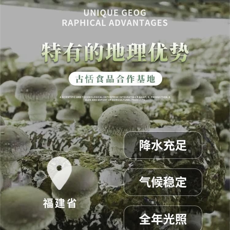 Ancient Mushroom Boiled mushroom 1kg mixed mushroom pot clear water Mushroom Boiled mushroom canned assorted mushroom can