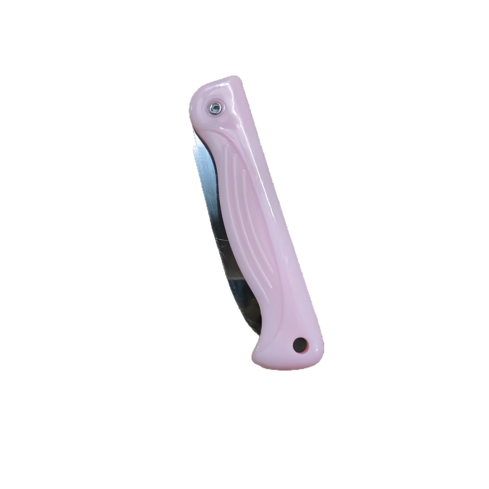 Stainless Steel Folding Fruit Knife, Student Dormitory Peeling Knife, Portable Kitchen Knife, Two-Yuan Store Supply, Fruits and Vegetables