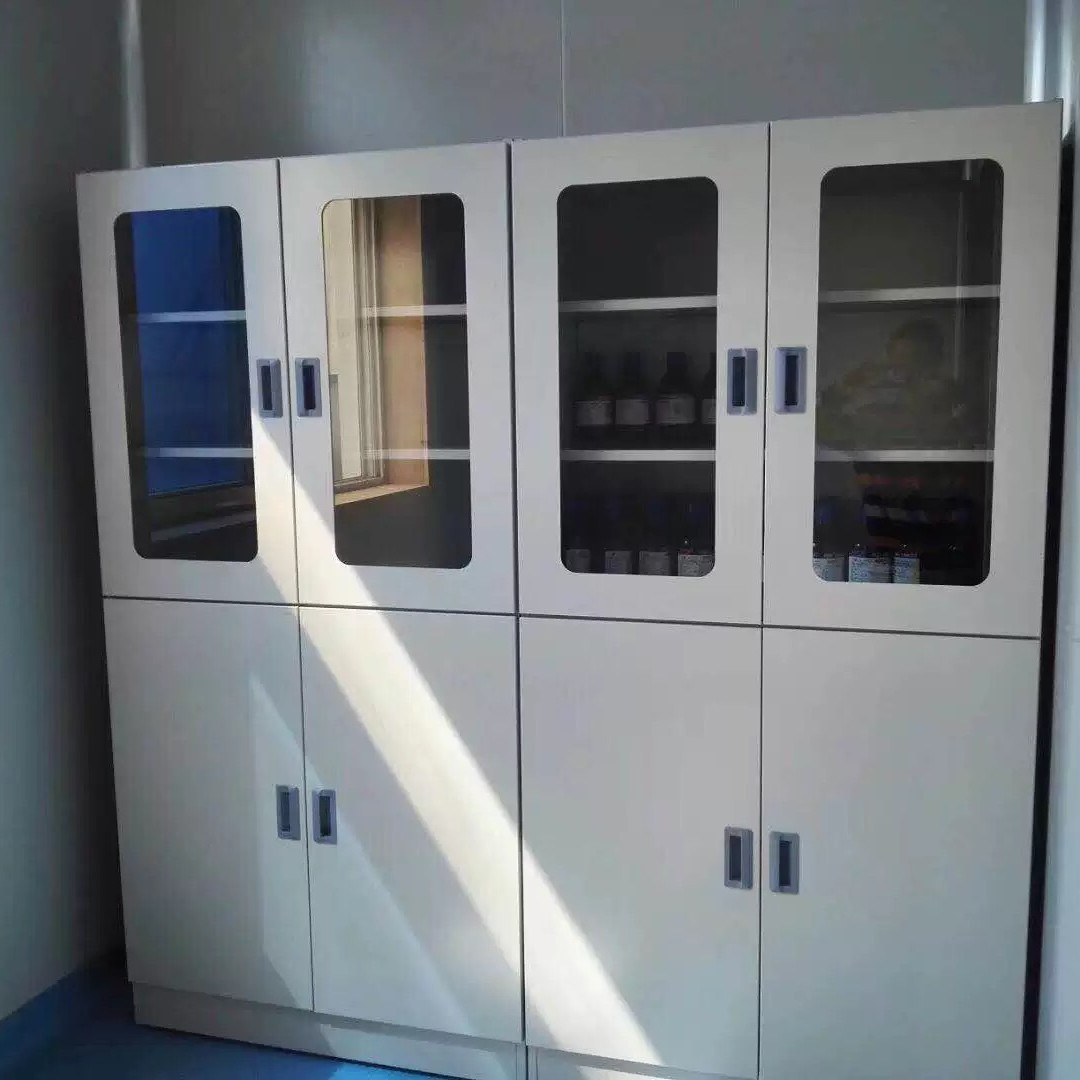 Laboratory Reagent Medicine Cabinet Glassware Cabinet Laboratory Instrument Sample Storage Cabinet All Steel Medicine Cabinet Customization