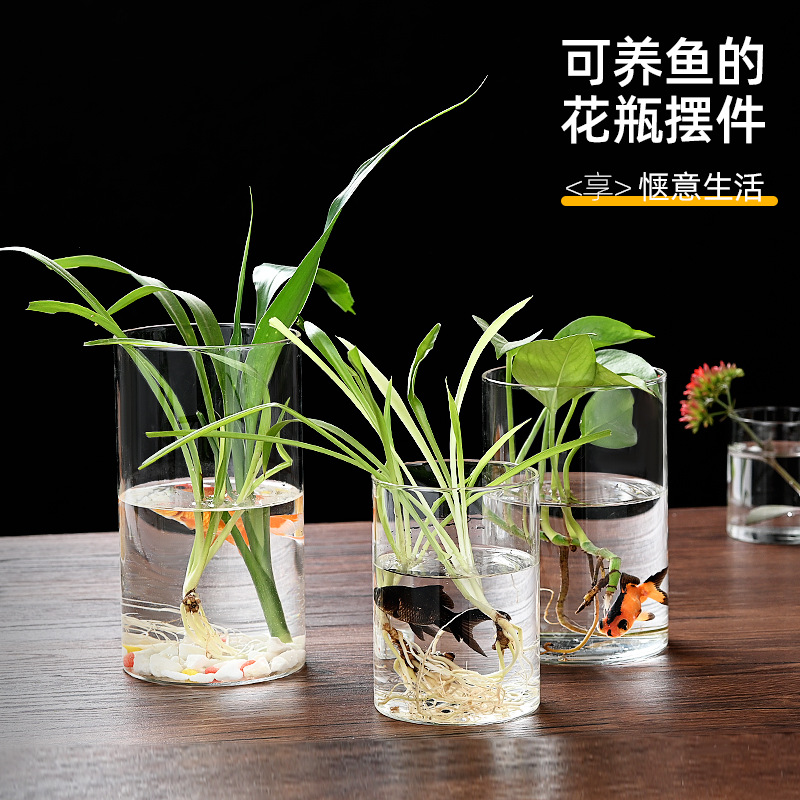 Экологическая бутылка высокоборо-силикатная стеклянная ваза цветочная композиция гидропонный сосуд микро ландшафт цветочный горшок аквариум украшение для рыбки бетта подставка для свечей