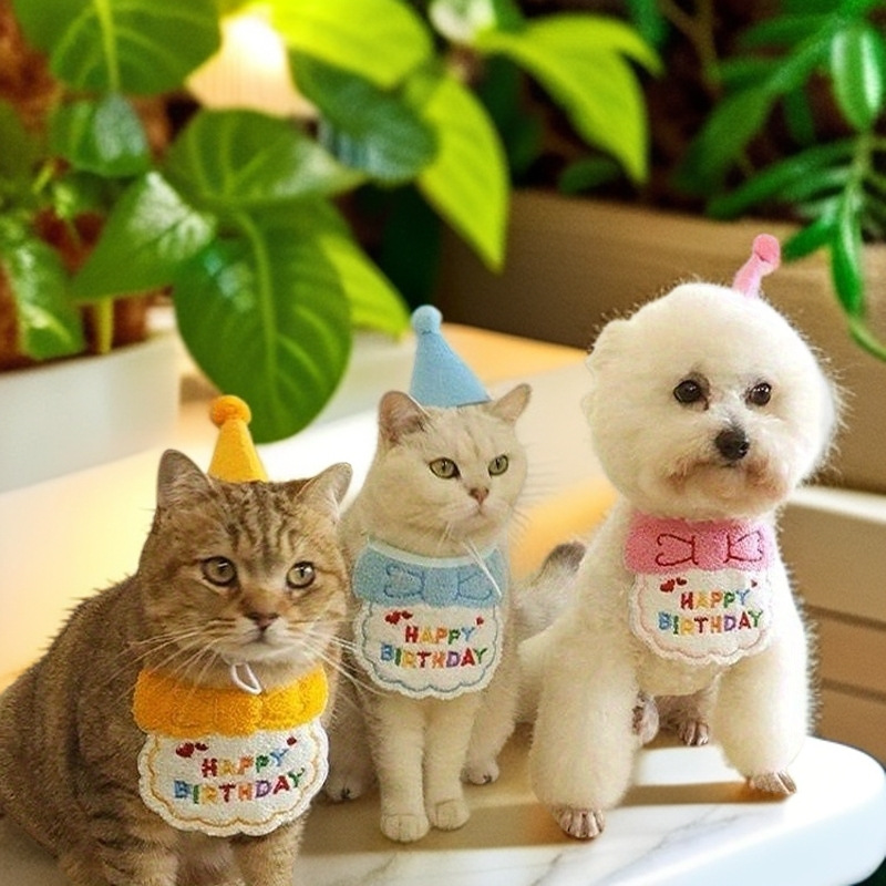 Cat Hat Headwear, Cute Rabbit Headgear, Teddy Corgi French Dog Bib, Birthday Dress up Photo Props