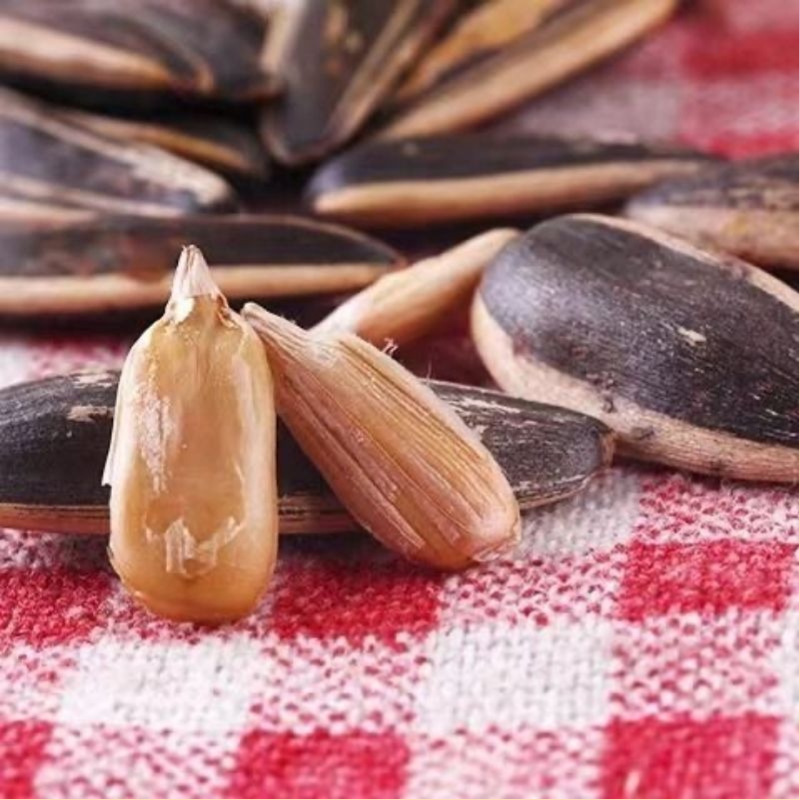 Qiaqia classic original fragrance melon seeds 108g watermelon seeds strange flavor beans crisp daily nut snacks small and fragrant