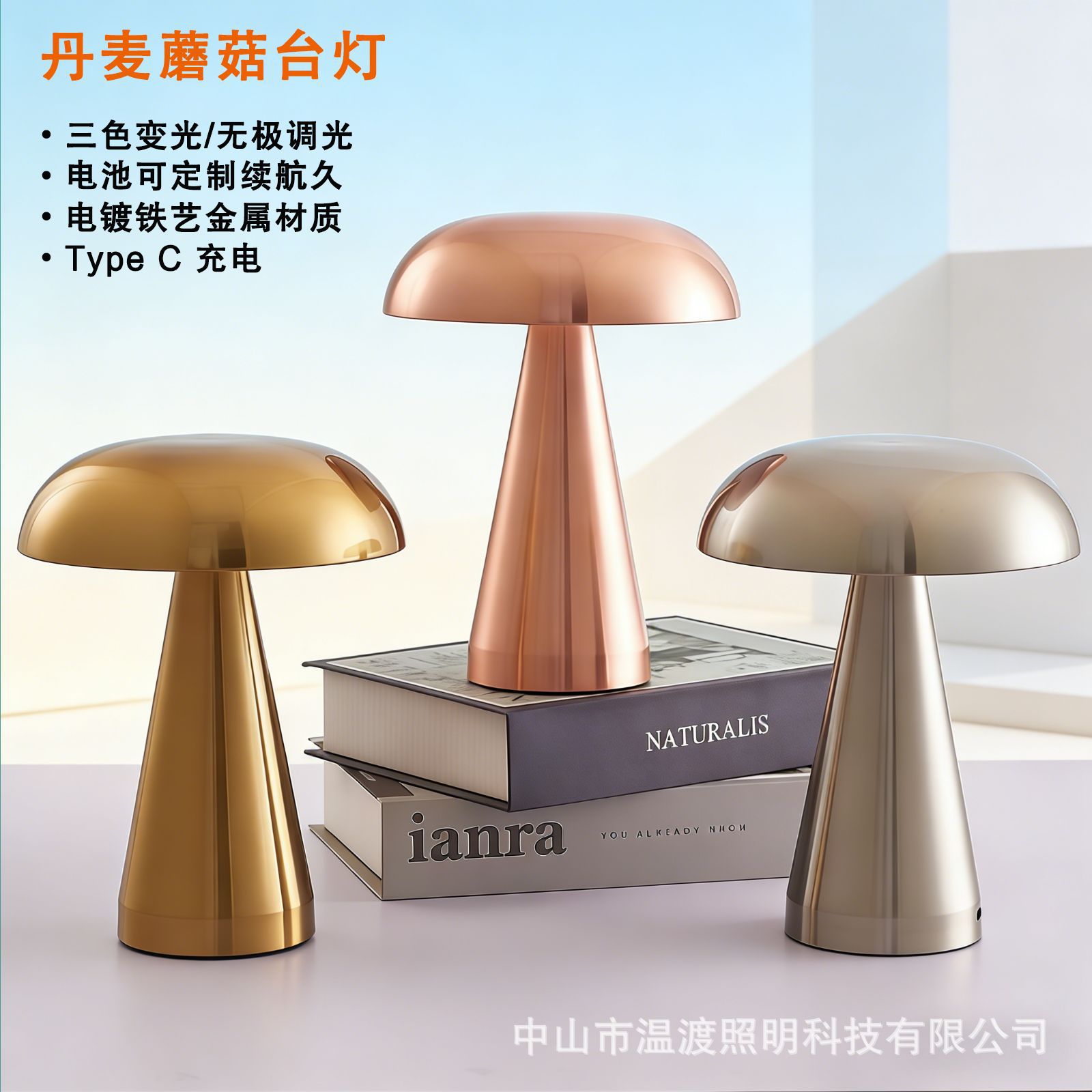 Кросс-бордерная грибная лампа, перезаряжаемая светодиодная лампа, ночник, популярная настольная лампа для спальни, прикроватная лампа, лампа для гостиной, атмосферная лампа