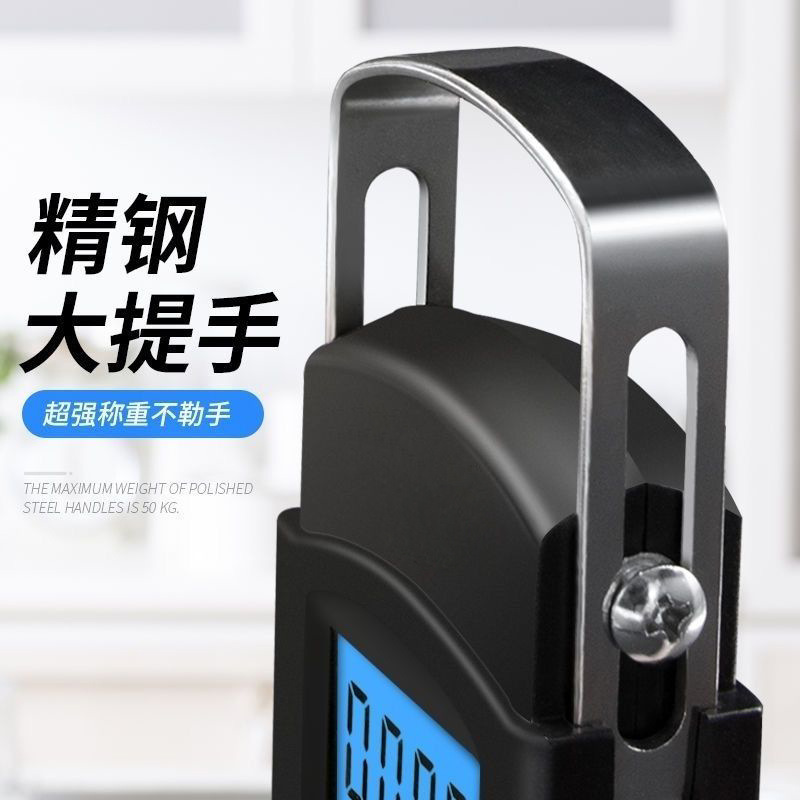 Portable Digital Scale 50kg Portable Hook Luggage Fishing Scale Small Cross-Border Spring High-Precision Manufacturer Food Scale