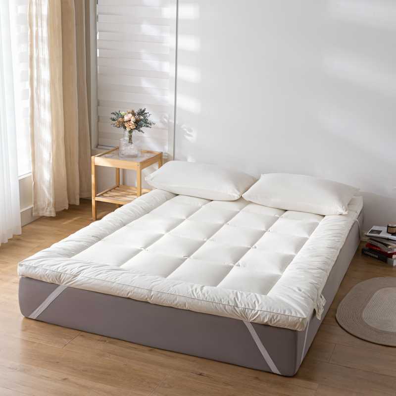 Nantong Home Textile Bed 2025 New Thickened Three-Dimensional Whole Cotton Hotel Student Mattress Antibacterial Cloud Group Buying Wholesale