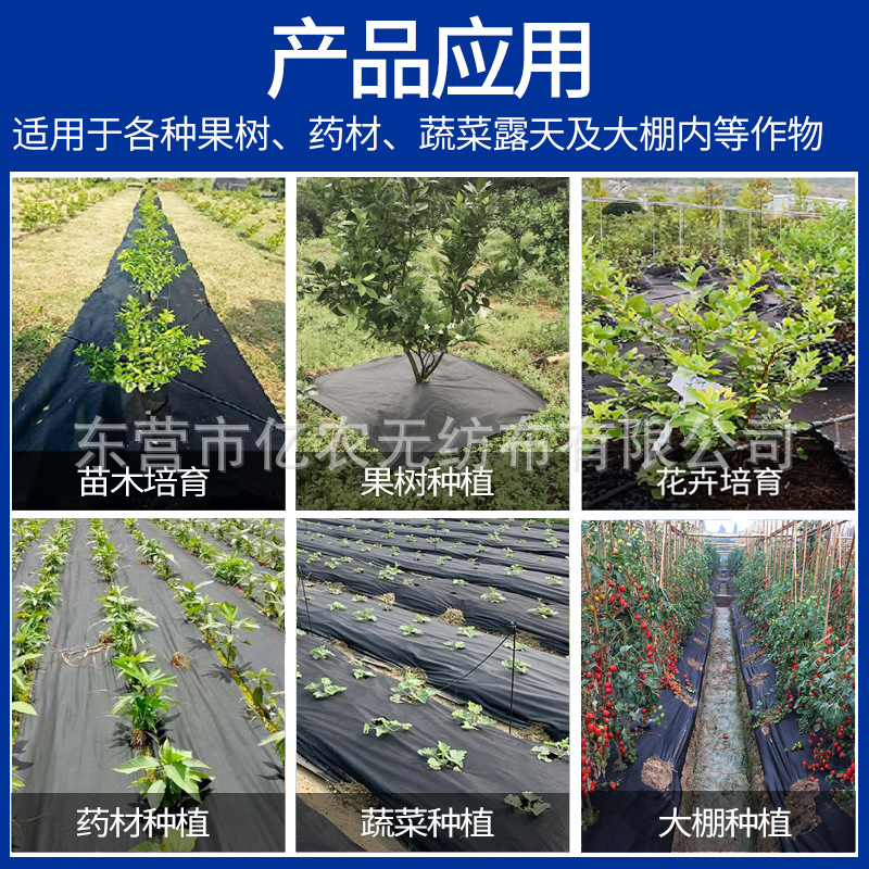 Amazon Explosions PP Anti-grass Cloth Thickened Tear-resistant and Weather-resistant Garden Film Courtyard Floor Covering