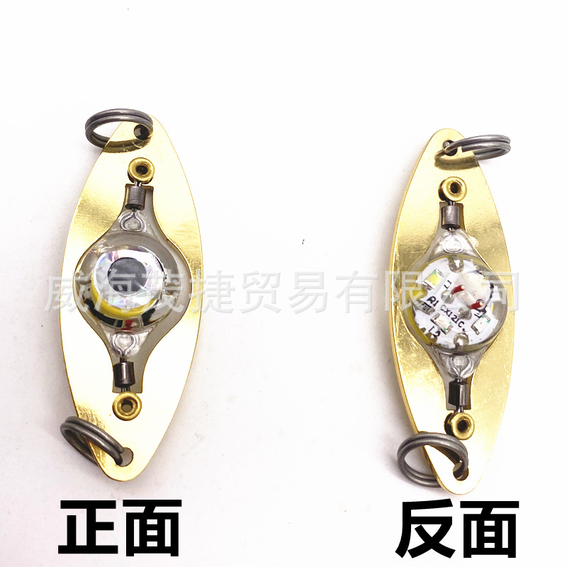 Luya Sequins Fish Eye Trap Fish Mini Underwater Fishing Light Collection Light LED Button Fish Light Waterproof Night Fishing