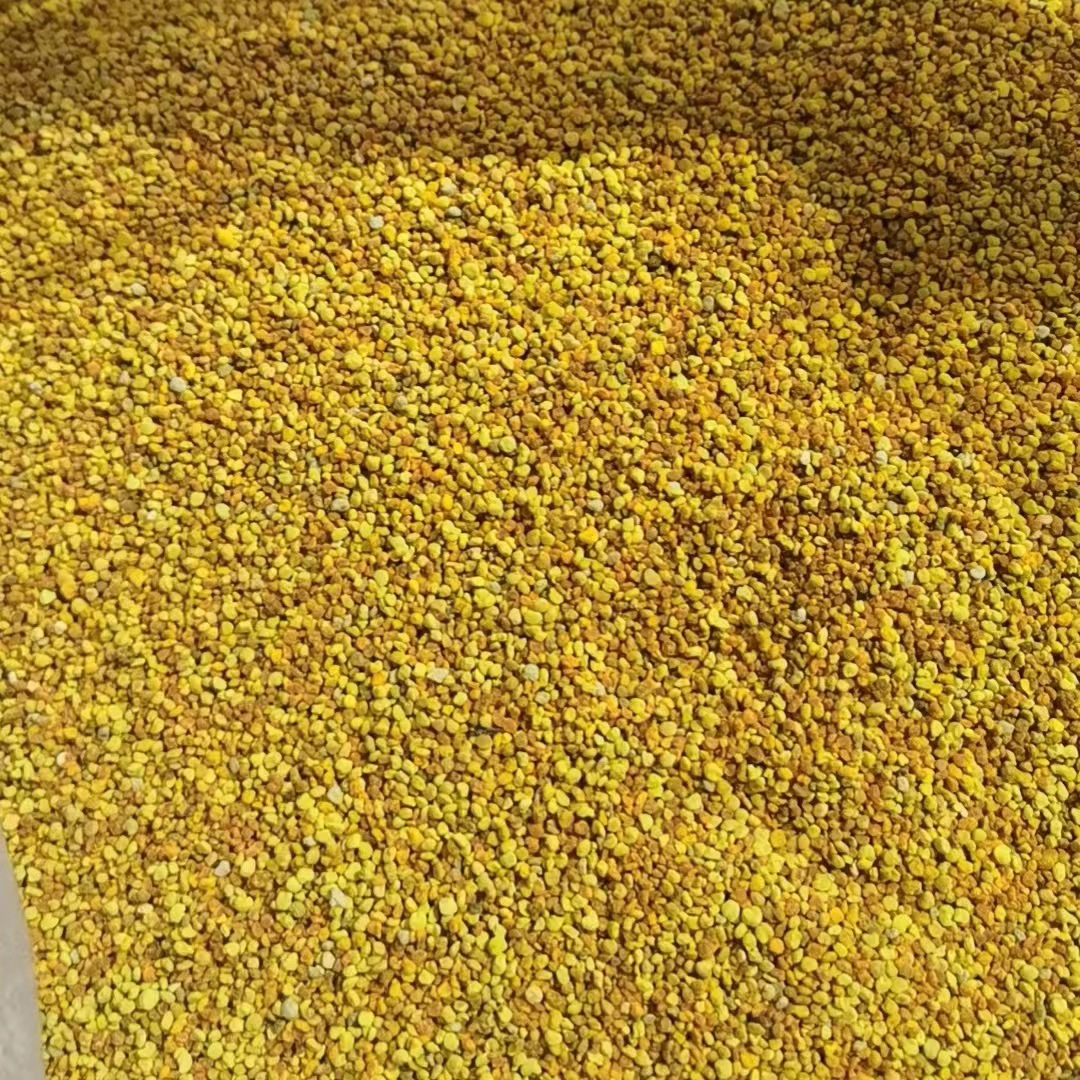 Zhuoyu Manufacturer Directly Supplies Ready-Made Sunflower Mixed Powder, Rapeseed Mixed Powder, Bee Food, Large Quantities of Bee Food Are Exported Preferentially