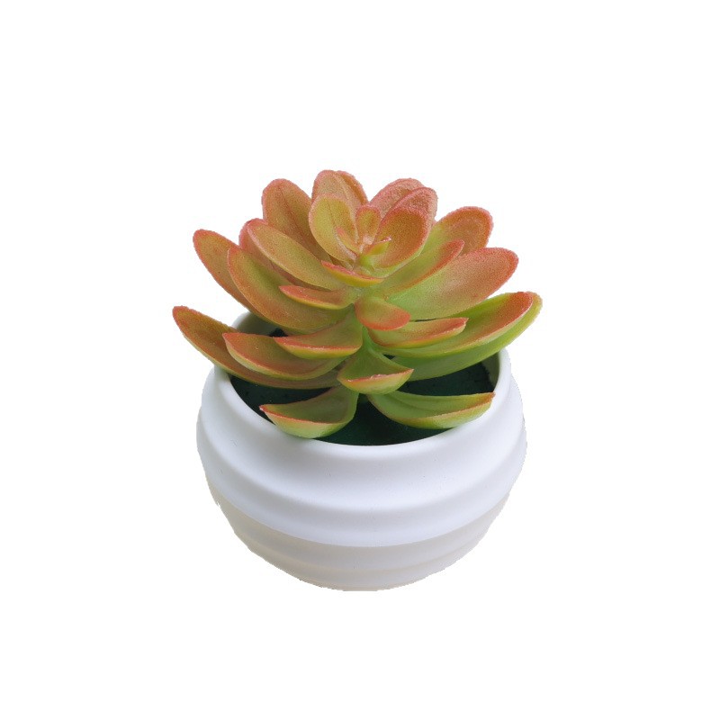 Factory direct supply simulation succulent small potted home living room table people fake green plant decoration ornaments