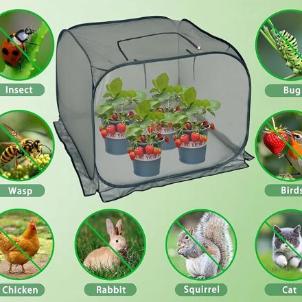 Защитное покрытие для растений от москитов, насекомых, пыли и животных, корзина для выращивания овощей и цветов