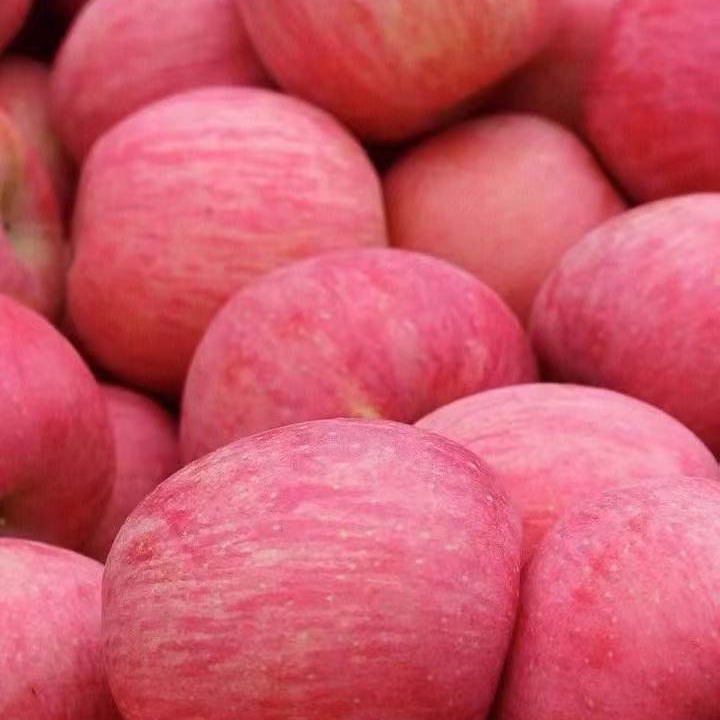Red Fuji Apples, Mountain Red Fuji Shandong Film Bags, Paper Bag Red Fuji Apples, Reddish Stripes, Crispy Texture