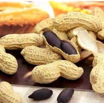 Shandong now picks new nuts farm black peanut with shell black skin purple skin raw peanut 500g
