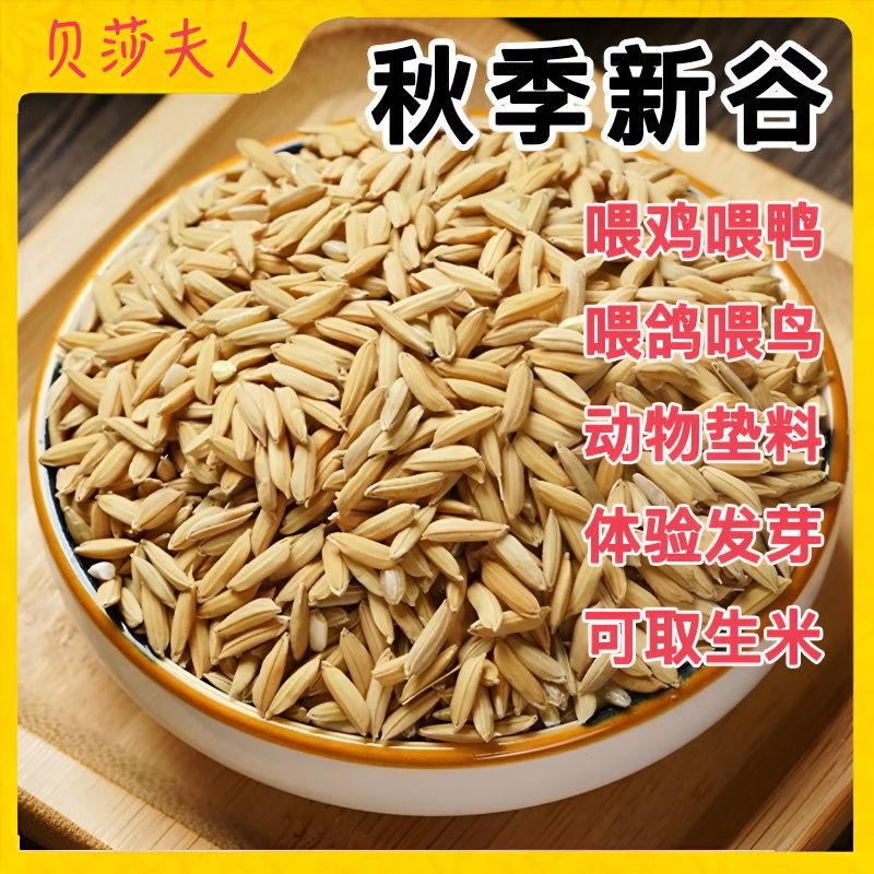 Natural Chicken Feed from Rice Farms 25kg Chicks Ruddies Birds Parrots Feeding Millet Rice Wholesale