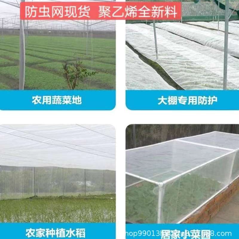 Well-Drilling Net Covering Mesh for Greenhouses, Insect-Proof Net, 70 Mesh, 80 Mesh, 100 Mesh, 120 Mesh, Nylon Yarn, Special for Insect-Proof Greenhouses