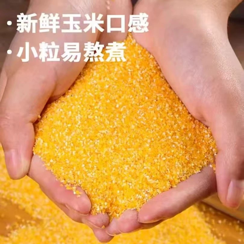 Corn Grits, Cornmeal, Cornmeal Porridge, Whole Grains, Coarse Grains, Porridge Bagged 100g Household Corn Grits