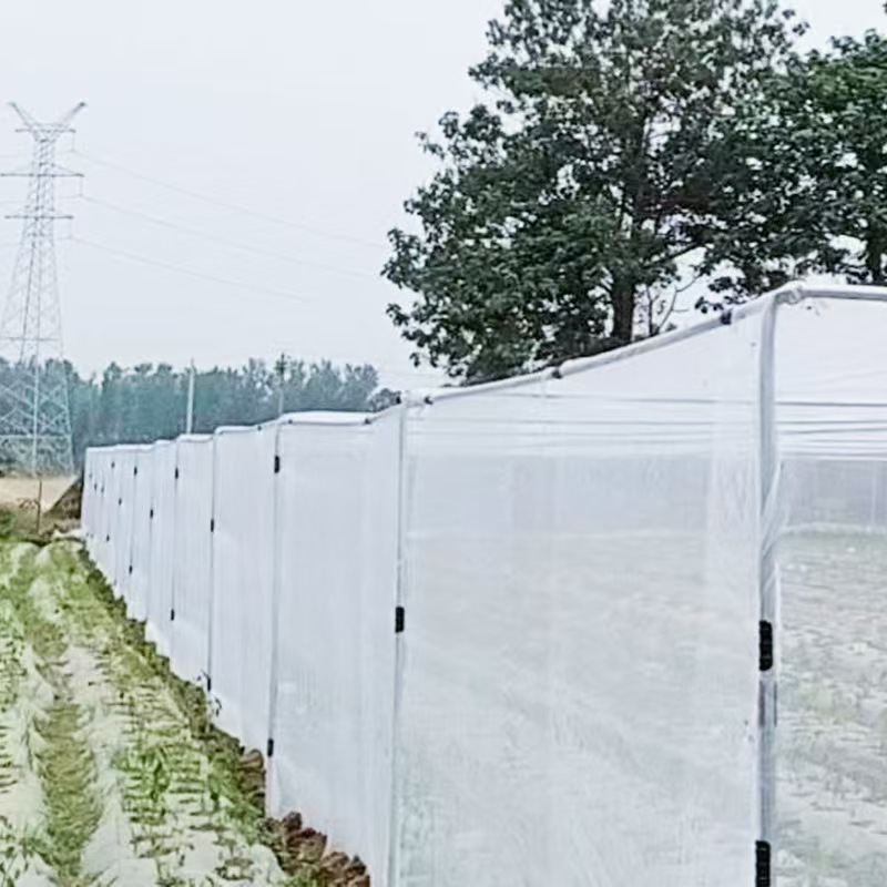 Cross-Border Insect-Proof Net for Strawberries, Grapes, Tobacco, Vegetable Net, Bayberry and Loquat Insect-Proof Net, Greenhouse Anti-Bird and Insect-Proof Net