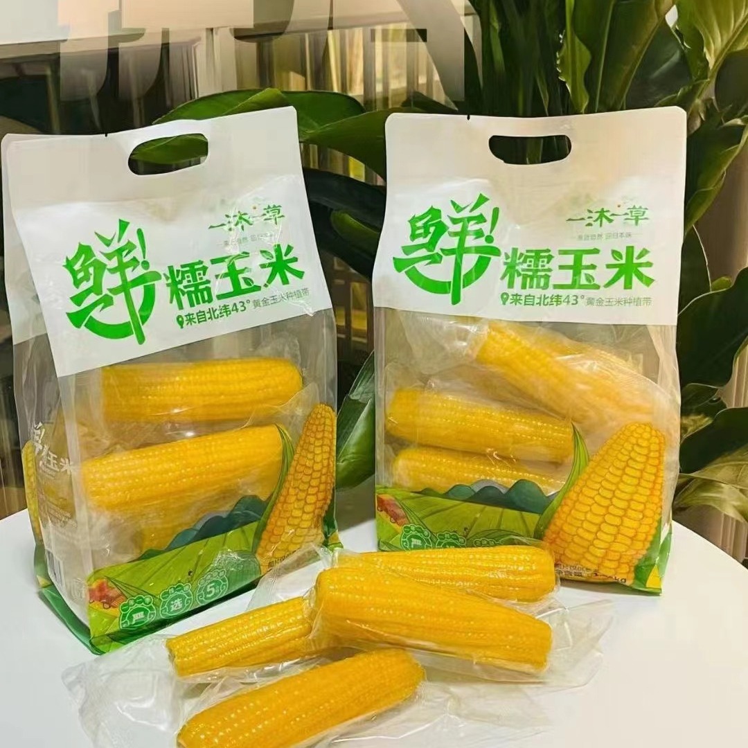 Yimu Yicao Fresh Waxy Corn Yellow Waxy Sticky Sweet Vacuum Packed Fresh Corn Breakfast Substitute Coarse Grains 1.85kg