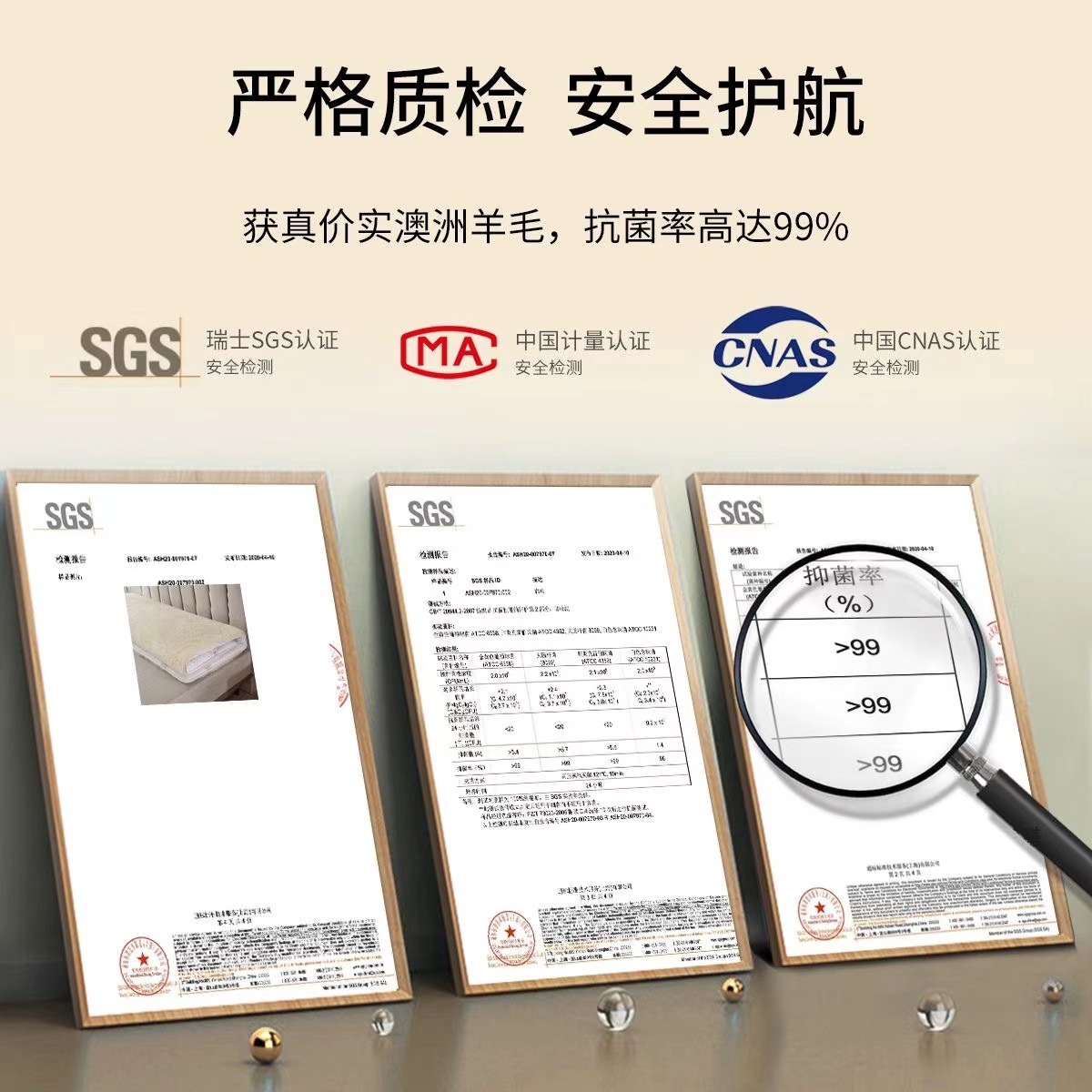 Amazon Ebay Cross-Border Home Textile Australian Wool Mattress Cashmere Mattress Cushion Cushion Winter Household Pure Wool