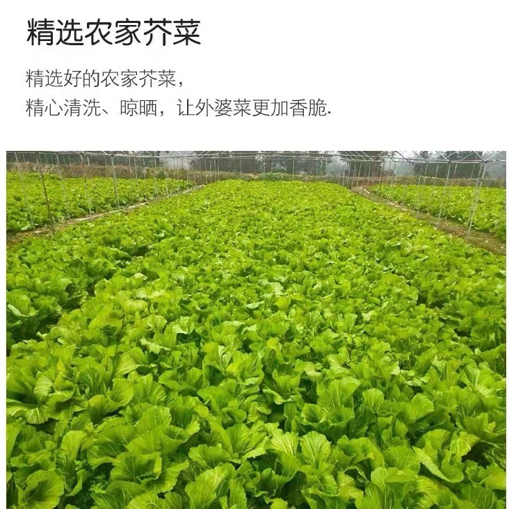 Congchu Xiangxi Grandma's Dishes 250g Hunan Authentic Appetizer Pickled Pickles and Radish Semi-Finished Pre-Made Dishes Wholesale