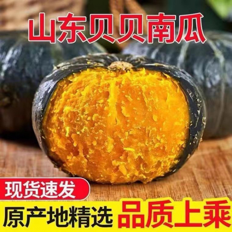 Authentic Zhenbeibei Pumpkin Chestnut Flavor Old Pumpkin Baby Food Supplement Pumpkin Powder Glutinous Sweet Fresh Free Shipping 0.05kg