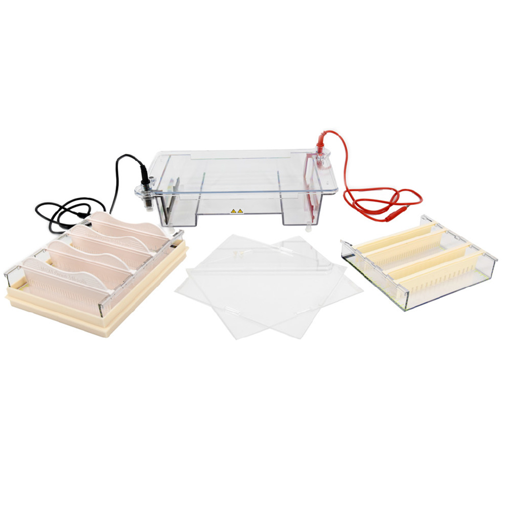 Beijing Liuyi Dycp-31E Agarose Horizontal Electrophoresis Instrument Medium Identification Separation Preparation Dna Nucleic Acid Electrophoresis