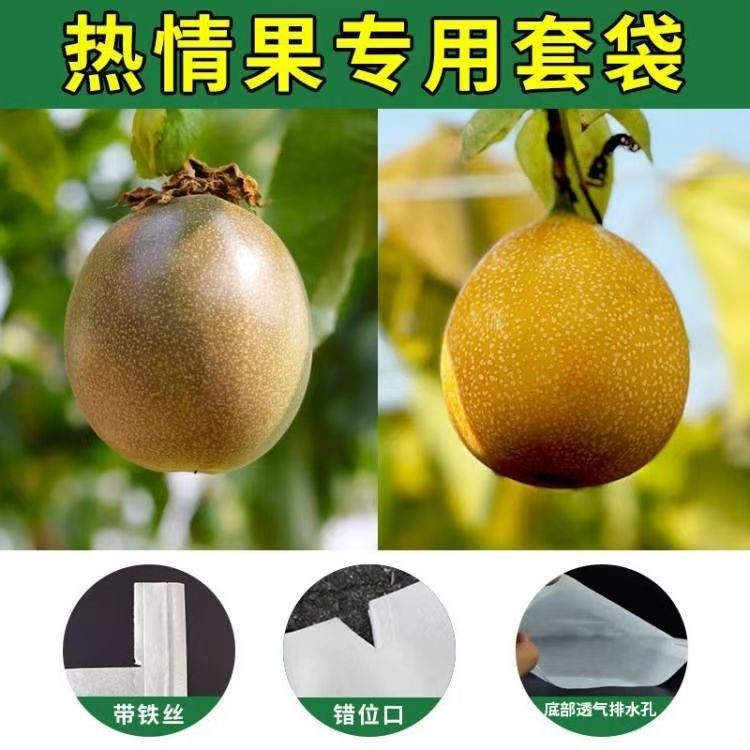 In-Stock Passion Fruit Bags, Dustproof and Insect-Proof, Wholesale Colombian Orchard Bags, Eco-Friendly and Biodegradable