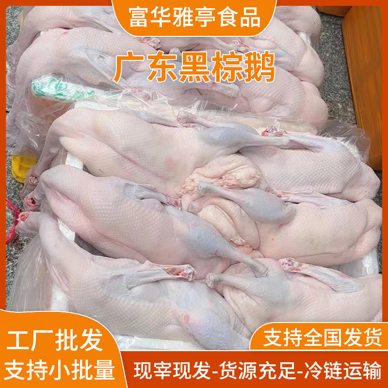 Authentic Black and Brown Goose, Freshly Slaughtered and Ready to Eat, Qingyuan Black and Brown Goose Hotel Hong Kong-Style Tea Restaurant Special Roasted Goose