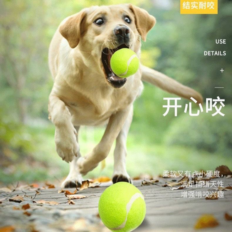Dog Toys Stretch Tennis Small and Medium Dogs Bite Resistant Toys Rubber Training Ball Pet Supplies