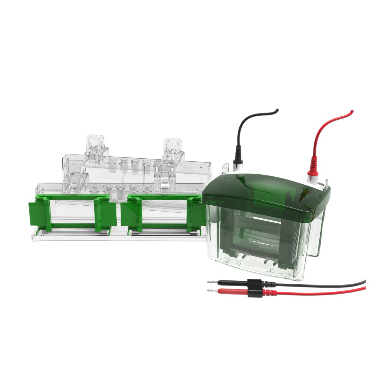 Hongji Electrophoresis Wb Protein Vertical Electrophoresis Tank Double Plate Vertical Tank Four Plate Vertical Tank Electrophoresis Instrument Laboratory Electrophoresis