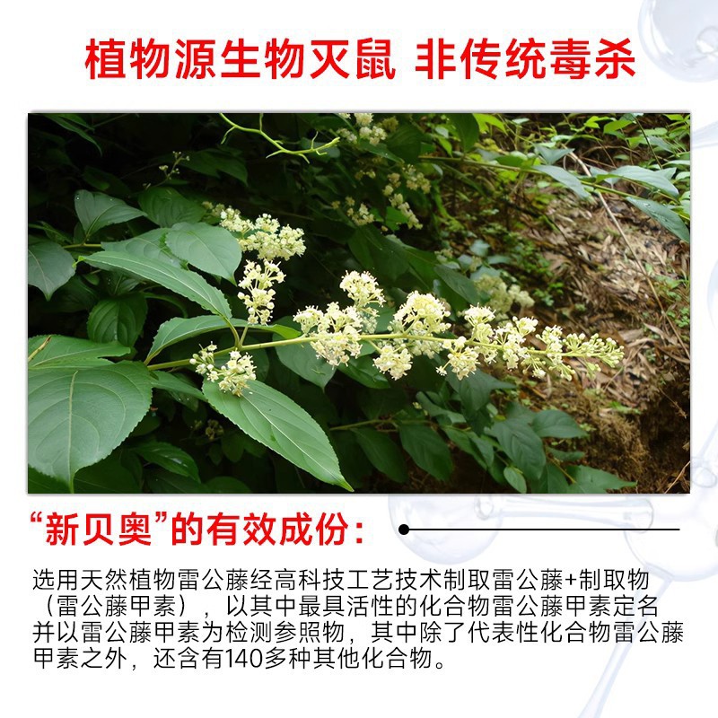 Wholesale Price of Rodenticide 25g Rat Poison Granular Type Ligusticum Chinensis Manufacturer Genuine Powerful Special Effect Rodenticide