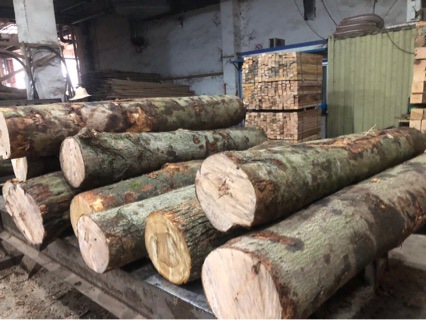 Chengdu Chongqing Shipyard Dock Pier Hardwood Perforated Iron Hoop Fender Anti-Corrosion Wood Mining Rescue Timber Mine Wood