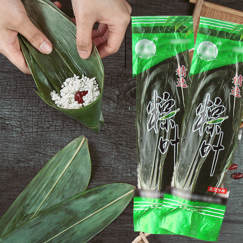 Fresh Large New Leaves for Wrapping Zongzi, Special Leaves for the Dragon Boat Festival, Commercial Wholesale Dry Zongzi Leaves, Large Leaves