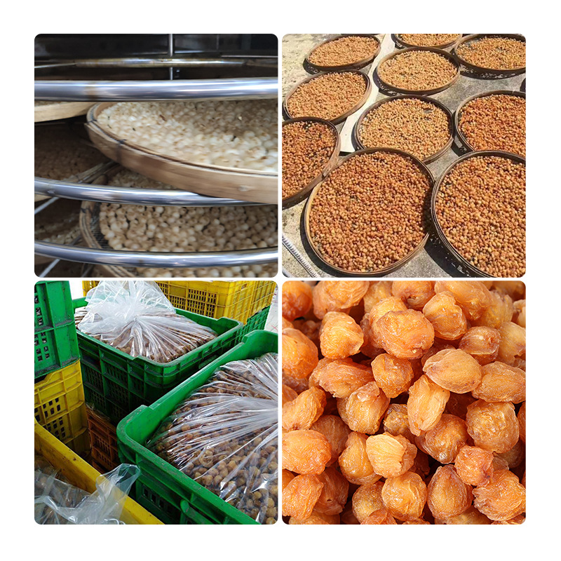 Grade a Bulk Longan Meat Dried Guangdong Gaozhou 2025 New Arrival Seedless Whole Box Wholesale Sulfur-Free Longan Meat