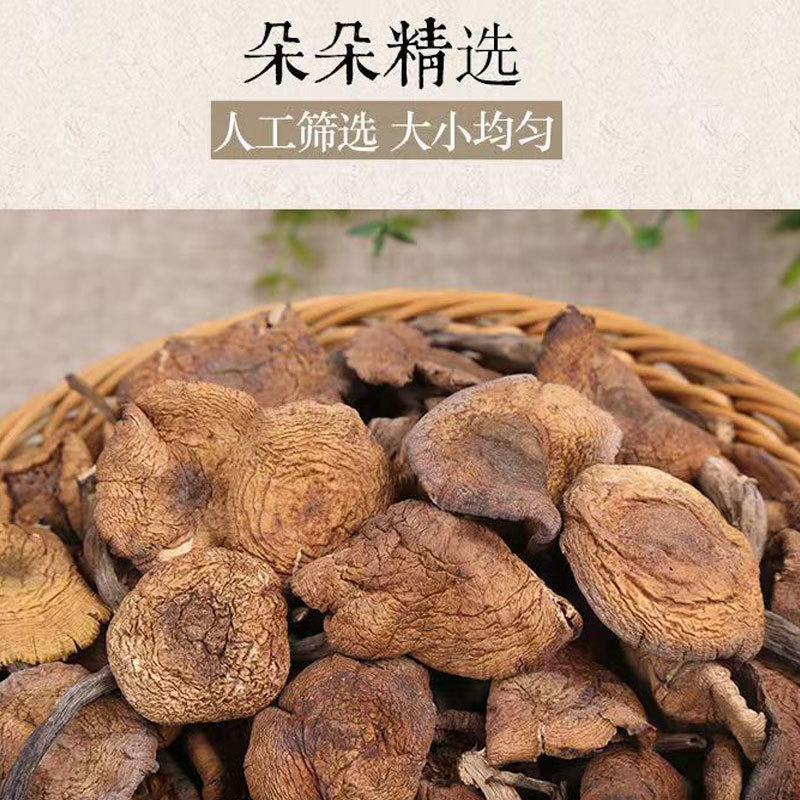 Northeastern Wild Dried Hazelnut Mushrooms from Changbai Mountain, Pure Natural Northeastern Chicken Stew Dried Mushrooms, Authentic Origin, Direct Delivery, Guaranteed Authenticity