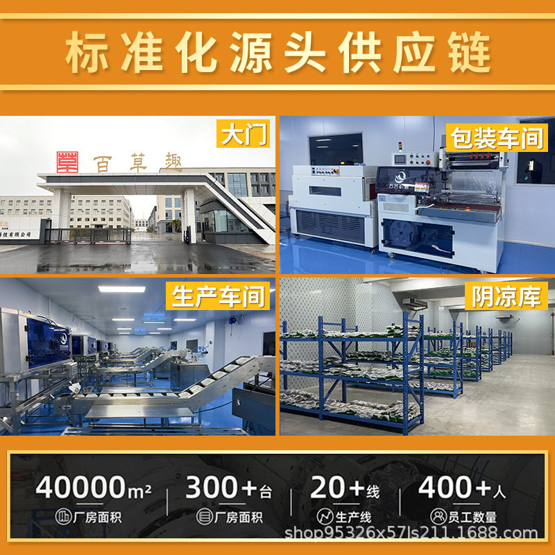 Tribute Dried Food Dried Beans Dried Dehydrated Vegetables Dried Lettuce Dried White Radish Vegetable Bag in stock