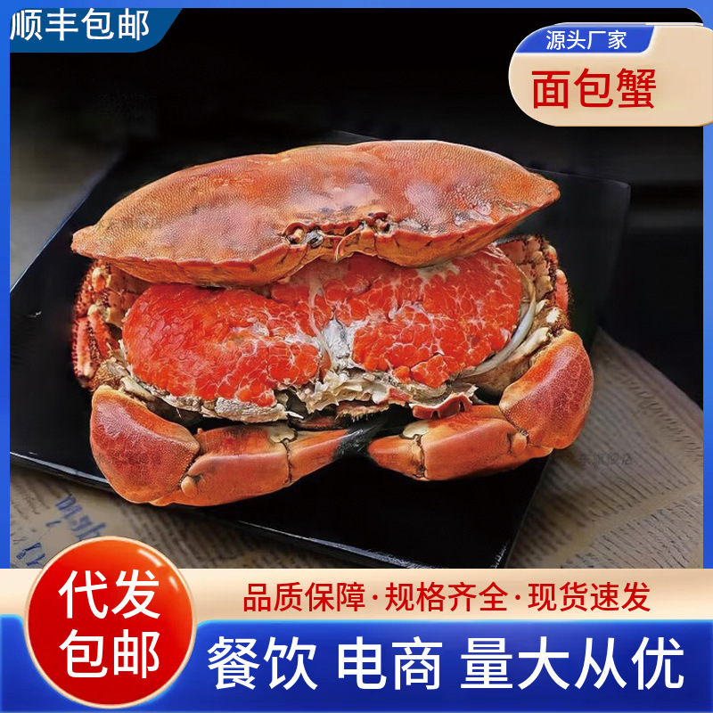 Очень большой хлебный краб с желтой пастой, свежепойманный вареный замороженный большой краб, морской краб, золотой краб, оптовая продажа морепродуктов и водных продуктов