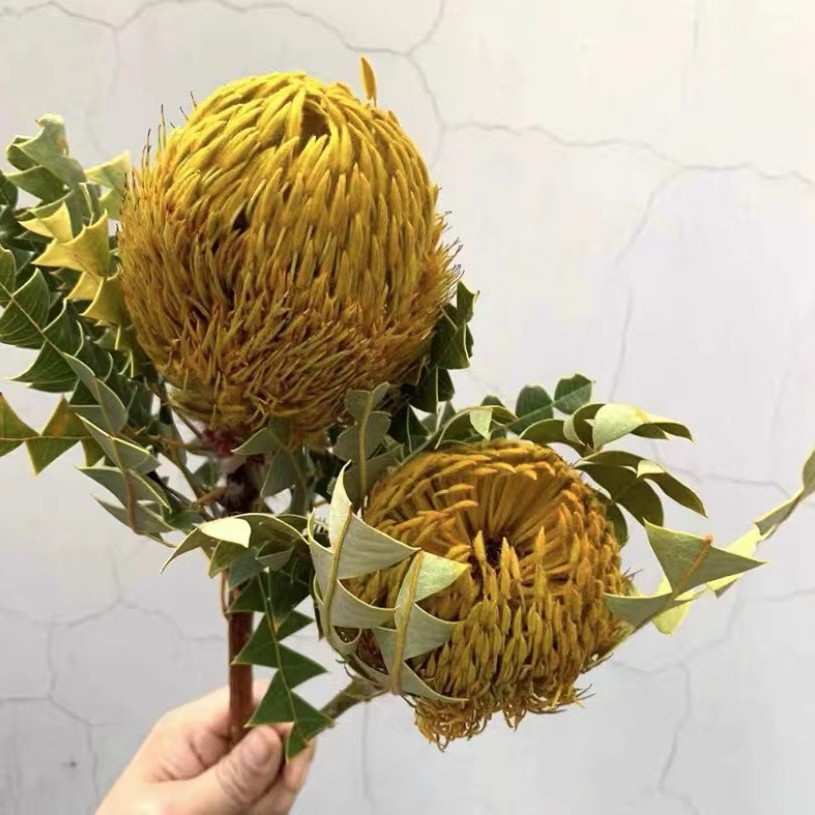 Сухие цветы, изготовленные путем сушки и обработки, изготавливаются по отдельному заказу согласно требованиям покупателя