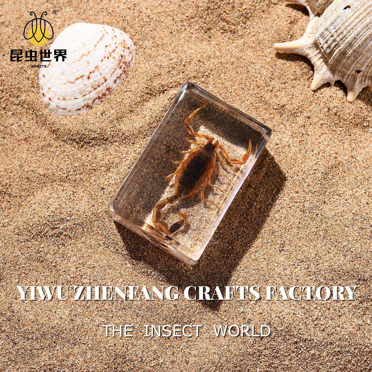 Zhenfang Process Manufacturer Self-Operated Real Insect Specimens Biological Science Teaching Secret Document Cross-Border Dropshipping