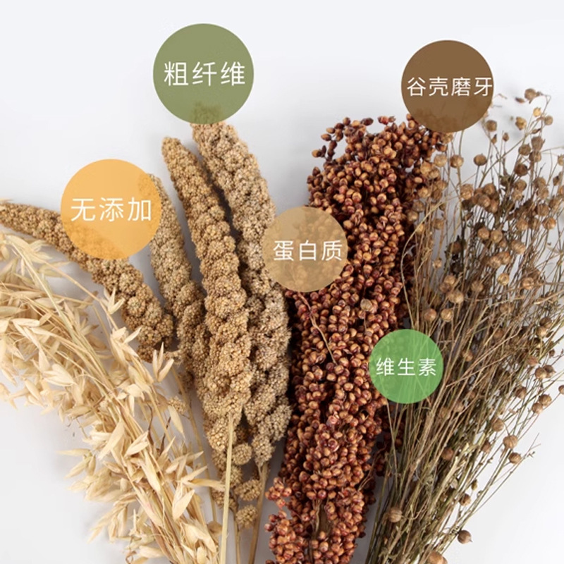 New Grain Ears, Millet Ears, Natural Wheat Ears, Hamster Teething Snacks, Small Pet Cages, Landscaping, Cereals, Flowers, Flax Seeds