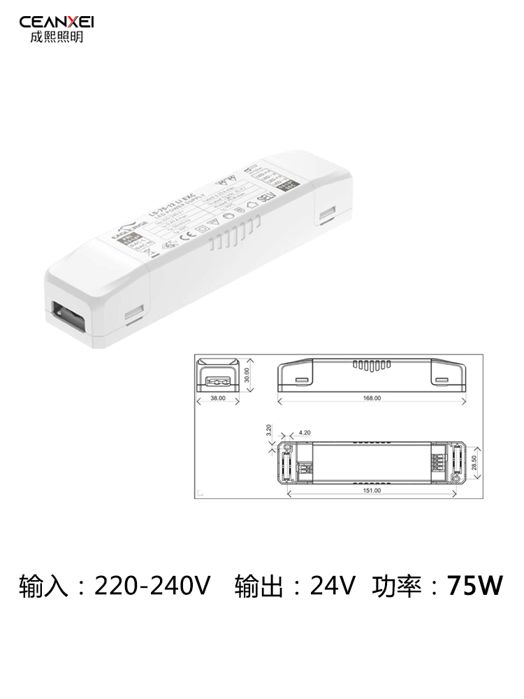 Igor Eaglerise Drive Lamp with Transformer 30W 60W 150Wled Lamp Constant Voltage 24V12V