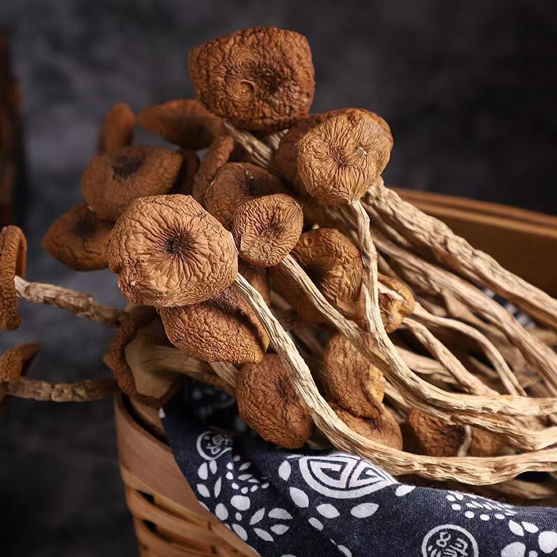 Farm-Grown Specialty Dried Tea Tree Mushrooms, Unopened Mushrooms, Direct Sales from the Manufacturer, Wholesale in Large Quantities, Excellent Ingredients for Soup