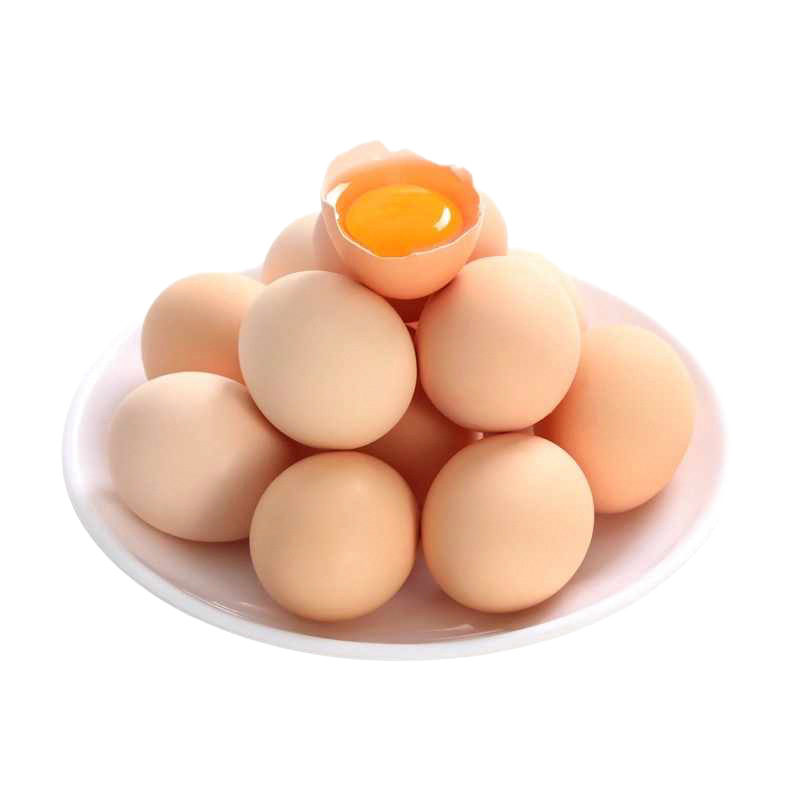 Fresh Eggs, 4-Pack, 12-Pack, Single Egg 40g+