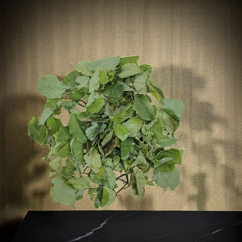 Gansu Longnan Wild Small Round-Leafed Epimedium Second-Grade Whole Leaf Content High Carefully Selected Origin Manufacturer Wholesale