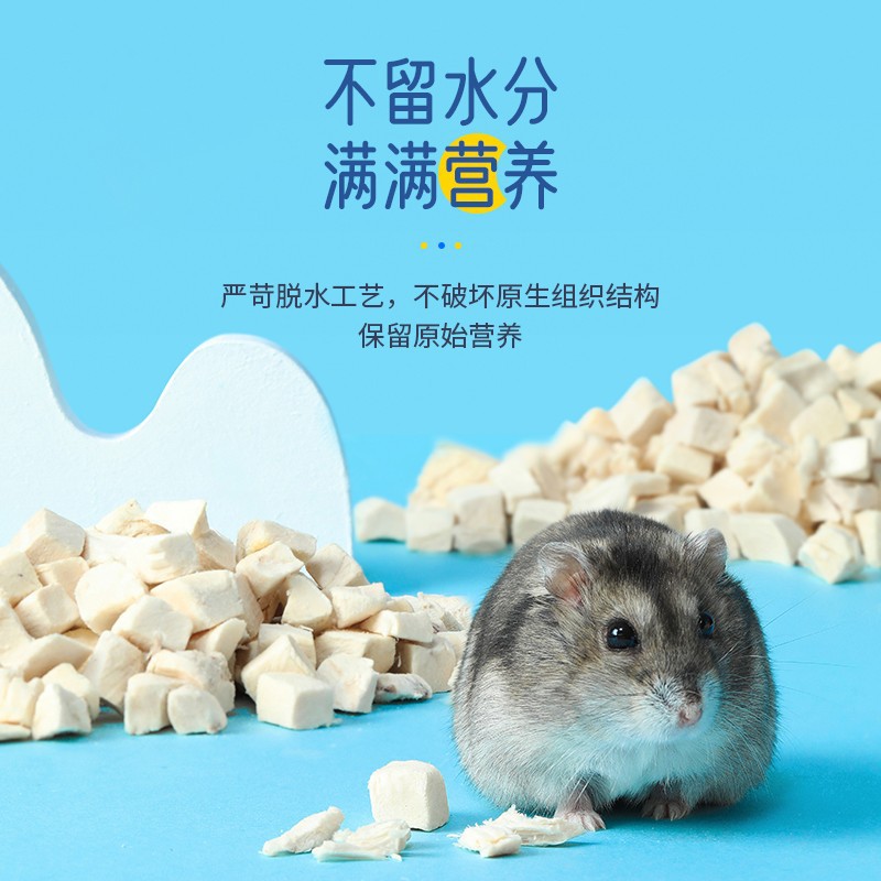 Hamster Snacks Freeze-Dried Combo Set Teething Sticks Mealworms Dried Tofu Nutritious Freeze-Dried Cheese Golden Hamster Food
