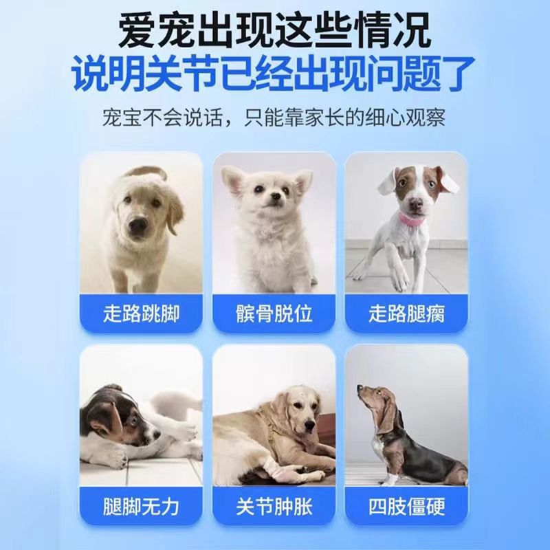 Pet Shark Chondroitin Calcium Tablets for Cats and Dogs, Universal for Kittens and Puppies, Healthy Calcium Tablets, 200 Tablets, Ready for Customized Delivery