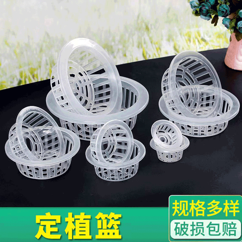 Посадочная корзина цветочный горшок гидропонное растение стеклянная ваза зеленая роза безпочвенное культивирование цветов фиксатор мелкорослых корней оптовая