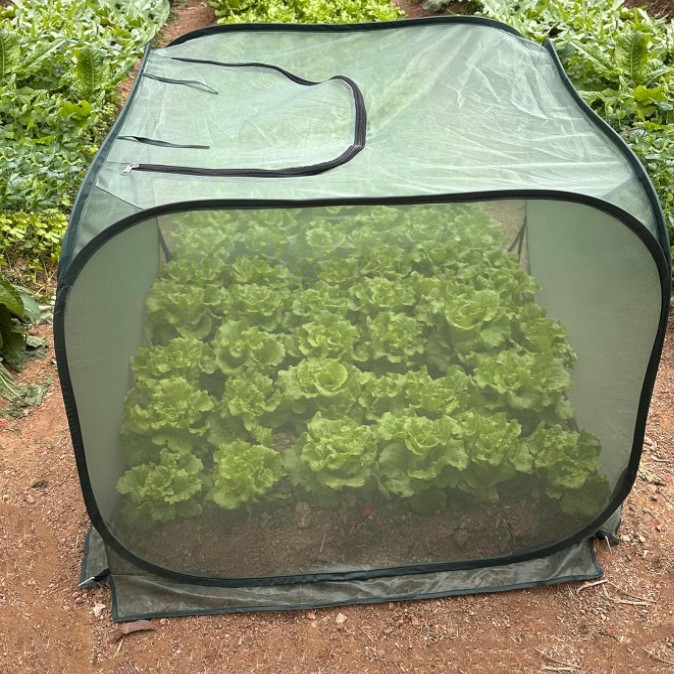 Plant Cover Anti-Mosquito, Anti-Insect, Anti-Dust, Anti-Animal Vegetable and Flower Cultivation Basket. Storage Flower Cover Protective Flower Cover
